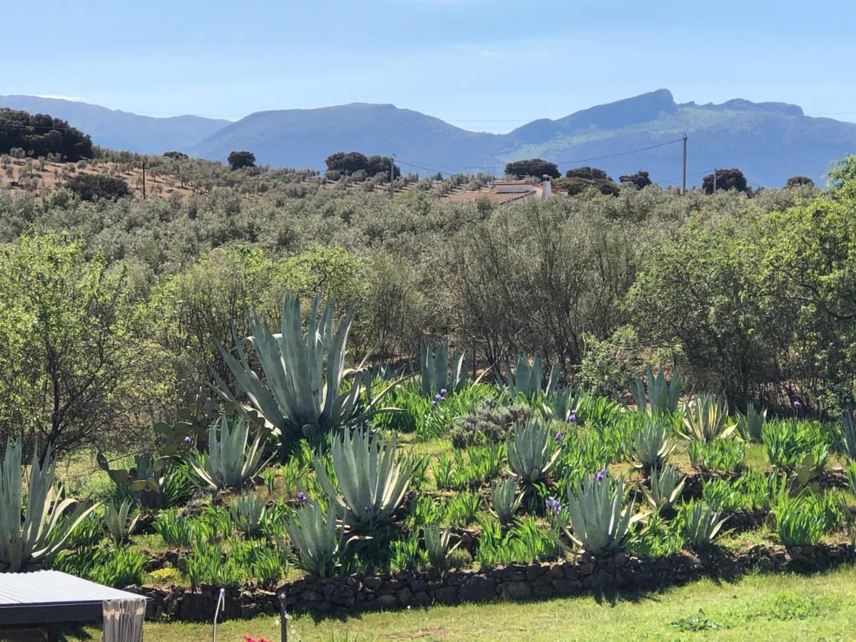 Casa La Alegria 37 Bed and Breakfast Villanueva de Tapia Εξωτερικό φωτογραφία