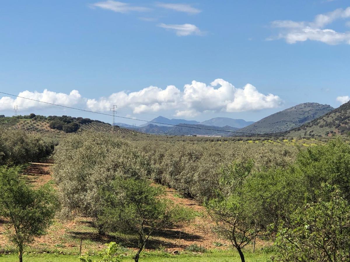 Casa La Alegria 37 Bed and Breakfast Villanueva de Tapia Εξωτερικό φωτογραφία