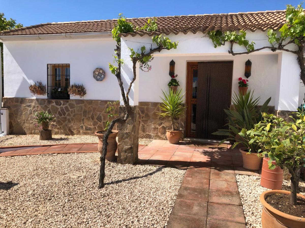 Casa La Alegria 37 Bed and Breakfast Villanueva de Tapia Εξωτερικό φωτογραφία