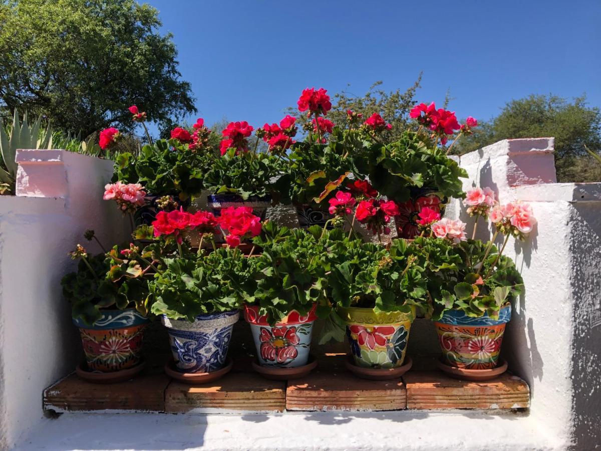 Casa La Alegria 37 Bed and Breakfast Villanueva de Tapia Εξωτερικό φωτογραφία