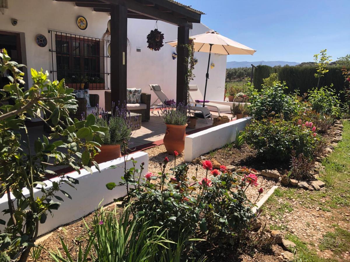 Casa La Alegria 37 Bed and Breakfast Villanueva de Tapia Εξωτερικό φωτογραφία